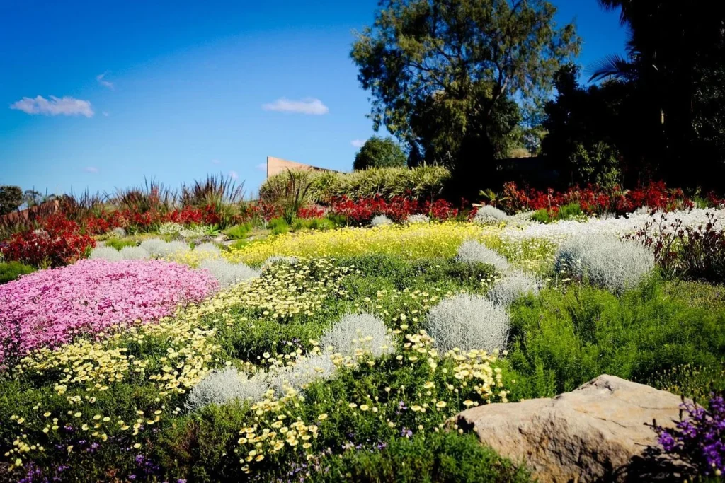 Australia Botanic Garden